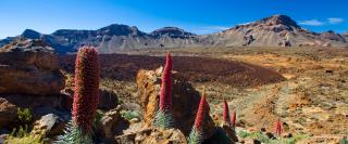 Mount Teide